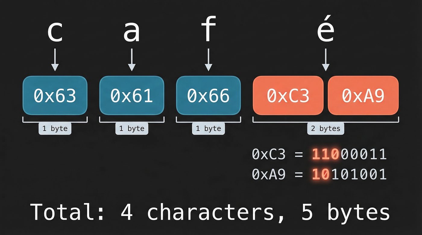 UTF-8 encoding of "café" — 4 characters, 5 bytes