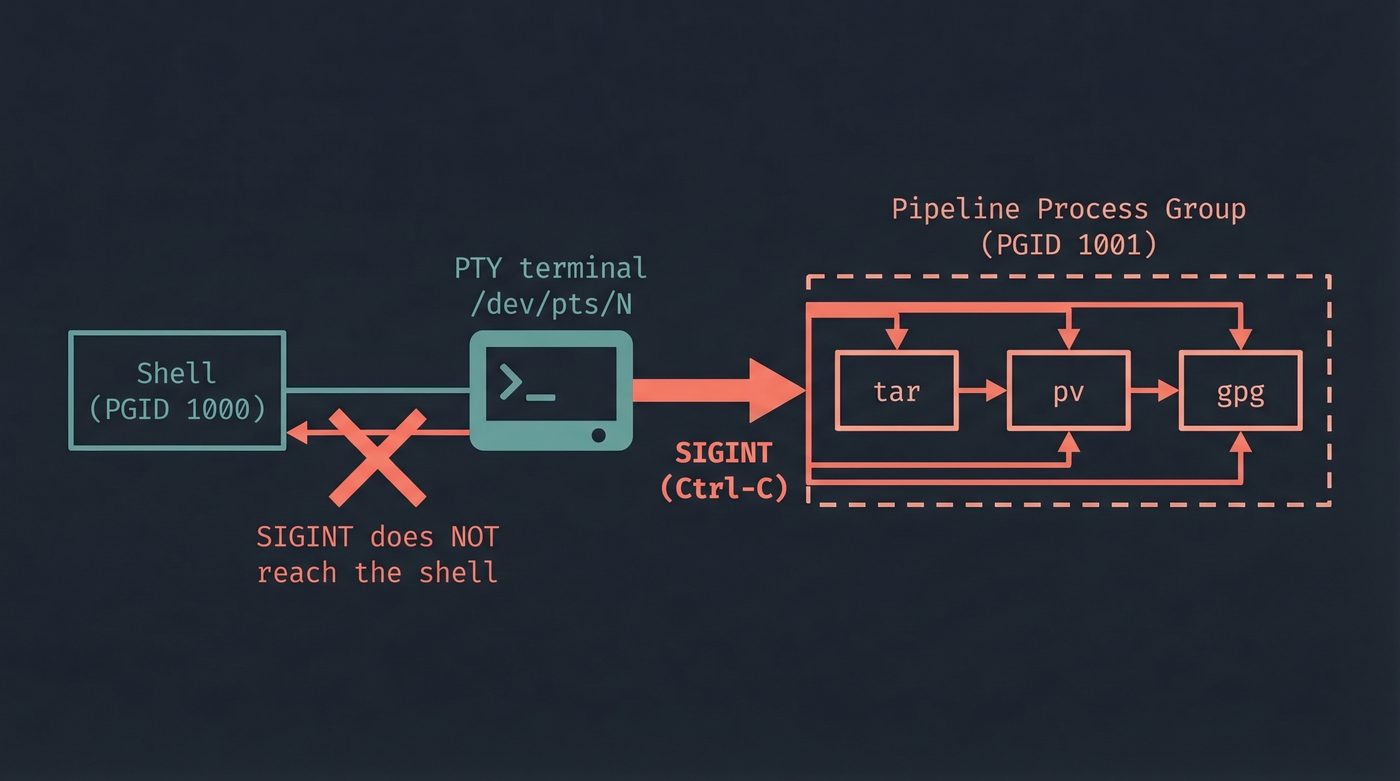 Process groups and the terminal — SIGINT hits the pipeline, not the shell