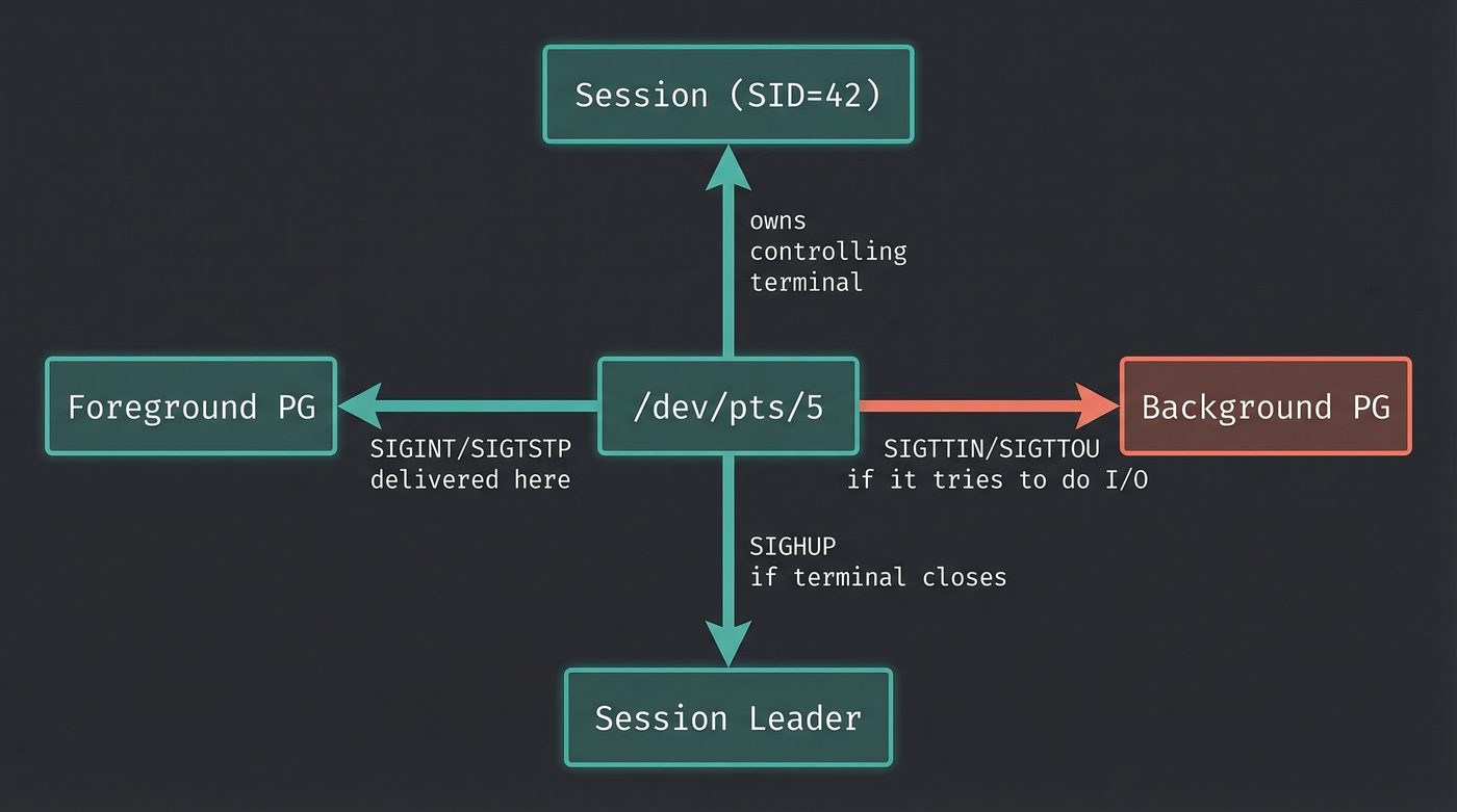 PTY device as the hub — sessions, process groups, and signals