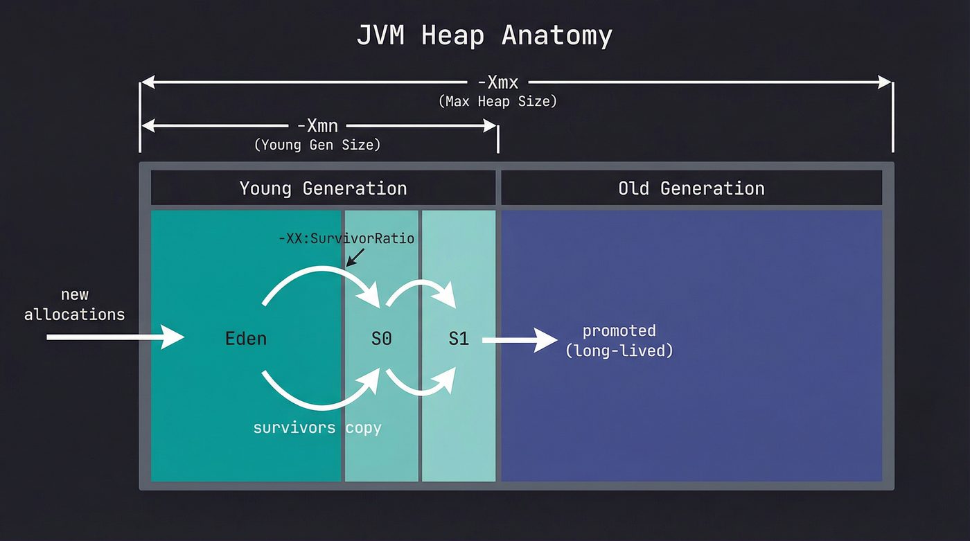 JVM heap anatomy — Eden, survivors, old generation