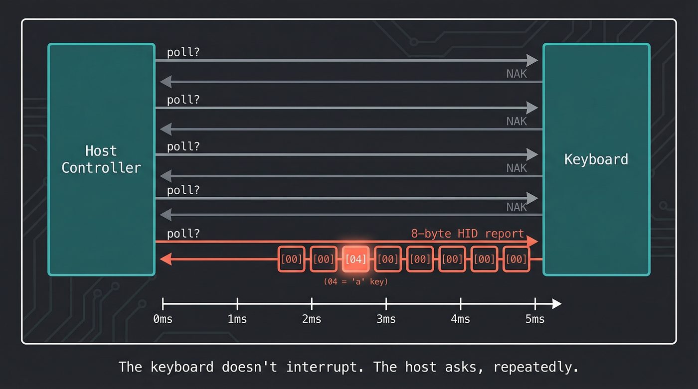 USB HID polling — the host asks, repeatedly