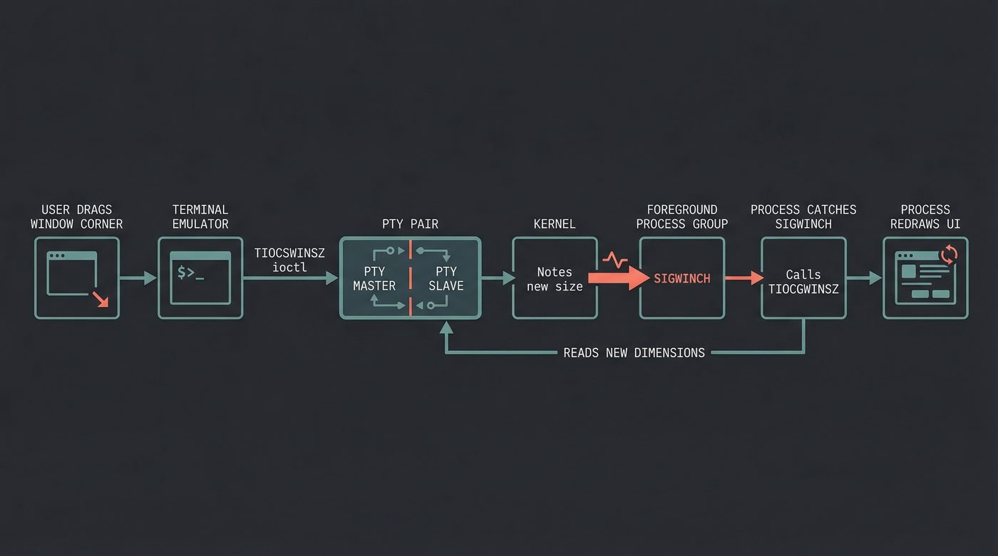 SIGWINCH — terminal resize signal flow